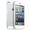 Apple iPhone 5 64Gb white - Новокузнецк